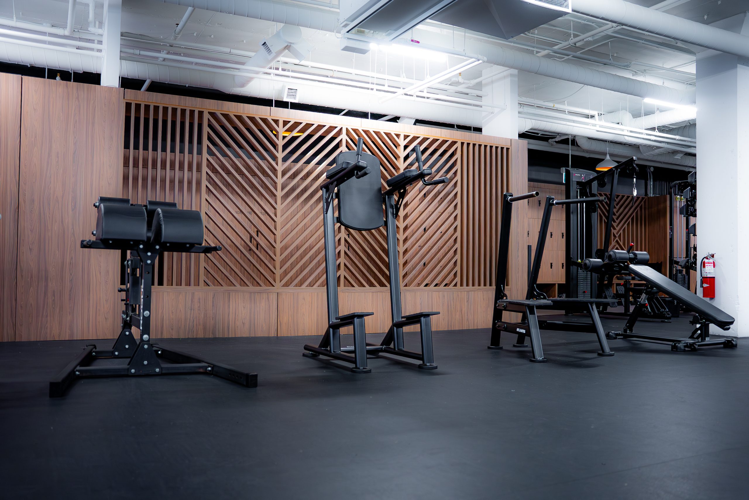 Fit Squad, photo 7