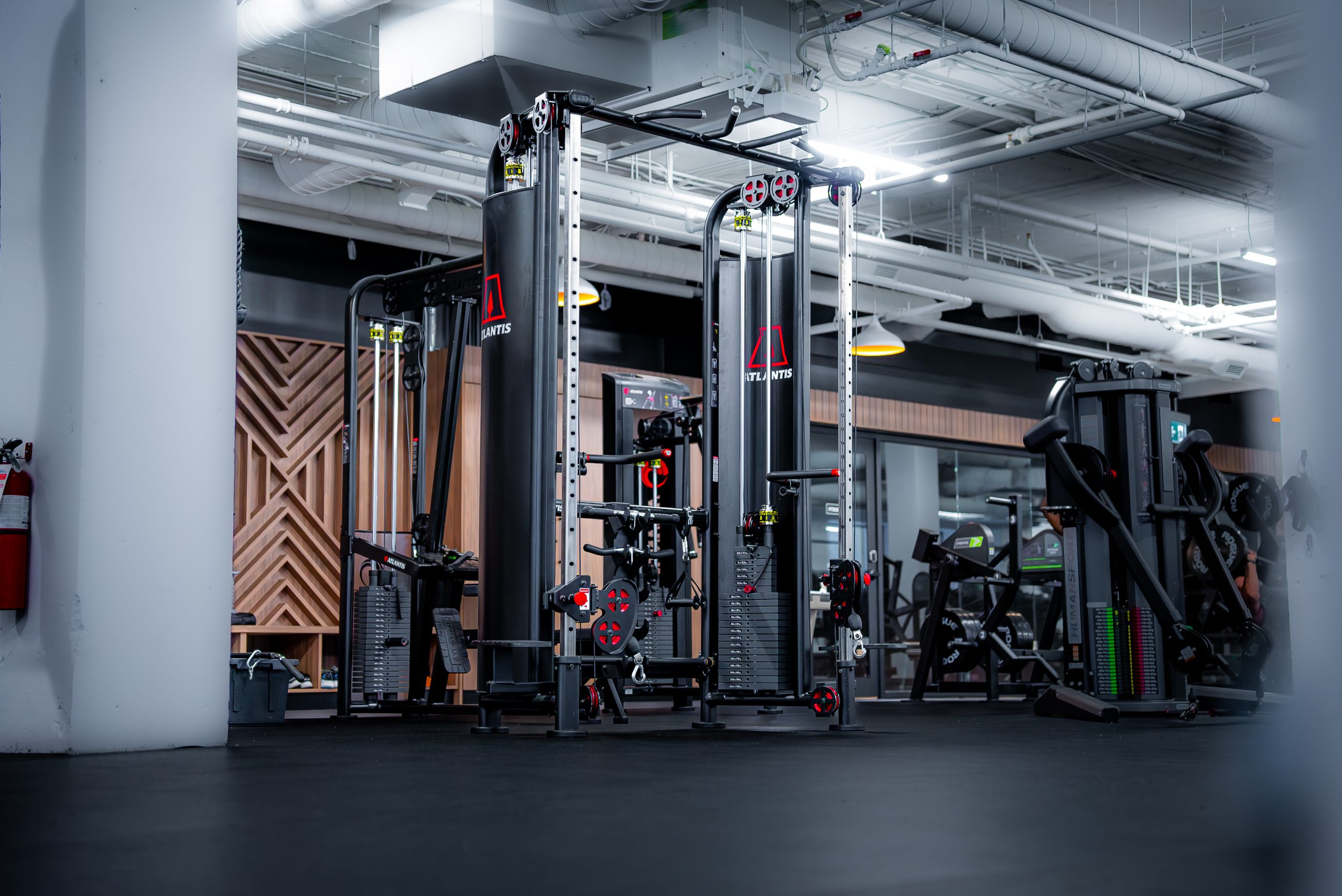 Fit Squad, photo 14