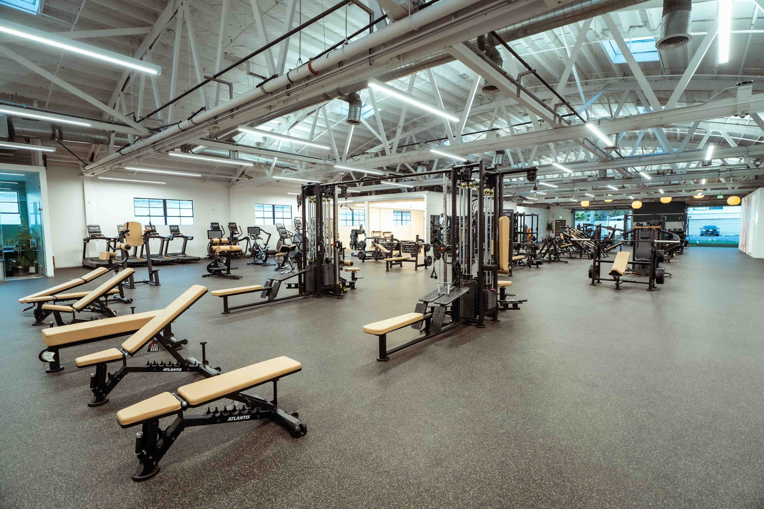 Gym Tonic, photo 5