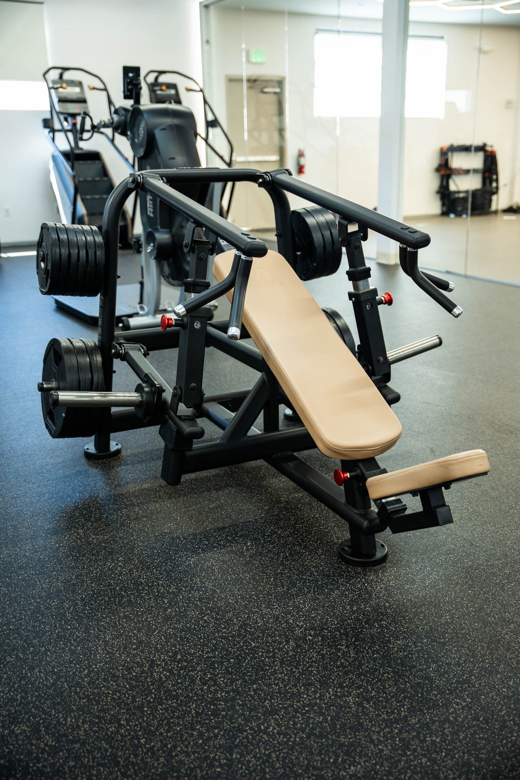 Gym Tonic, photo 1