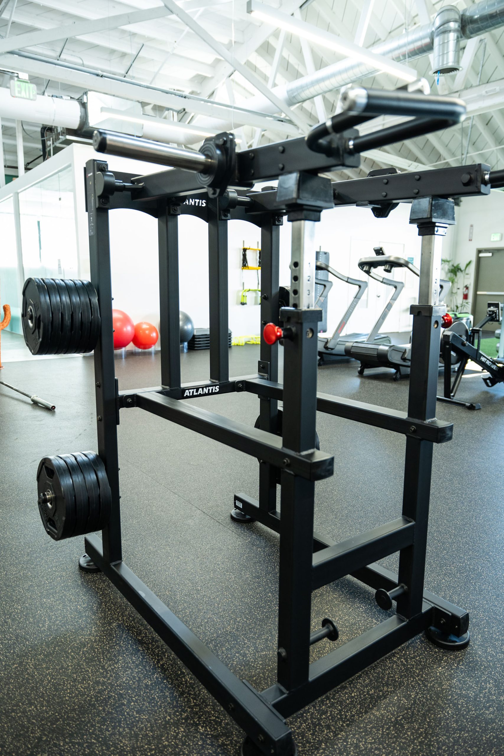 Gym Tonic, photo 10