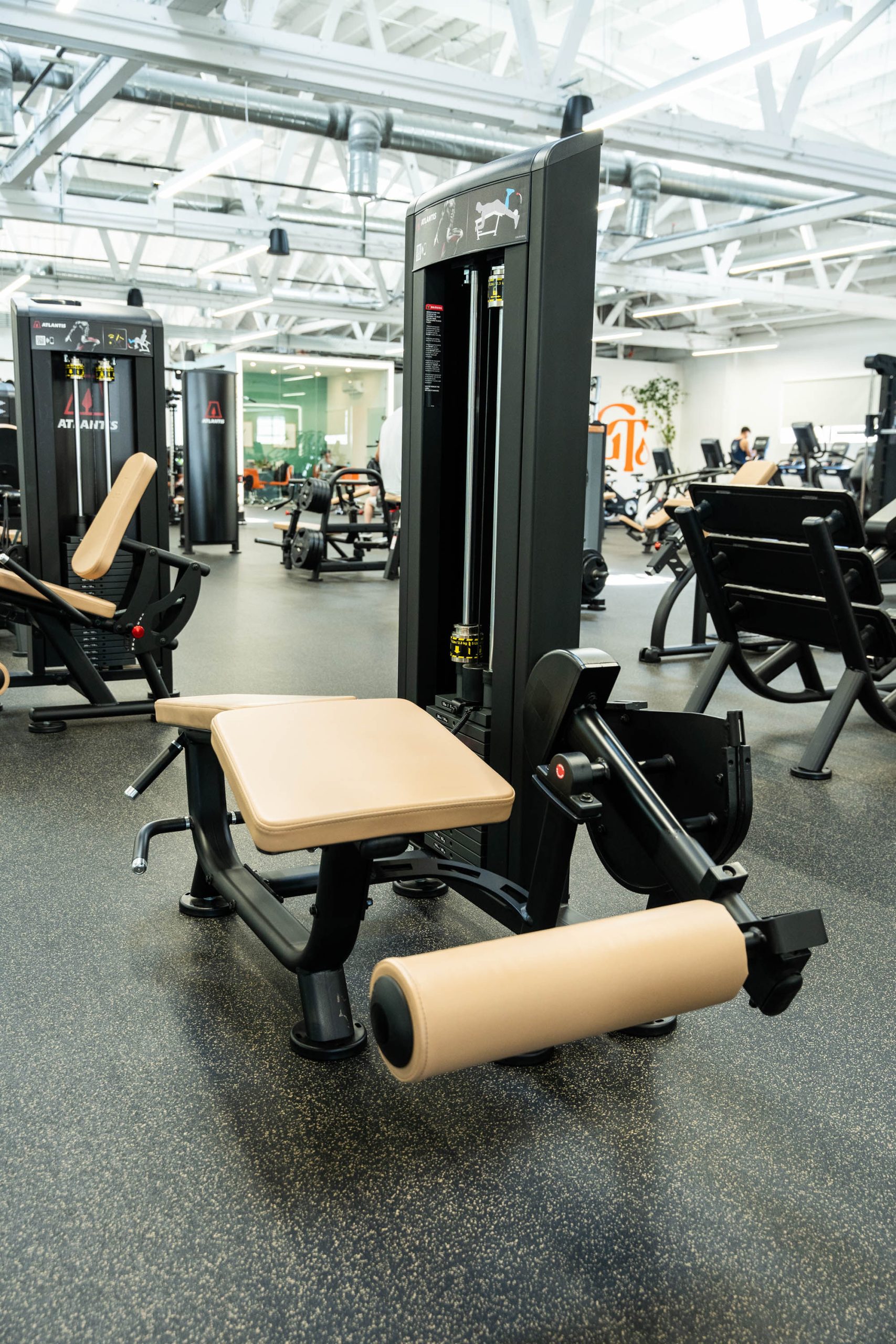 Gym Tonic, photo 3