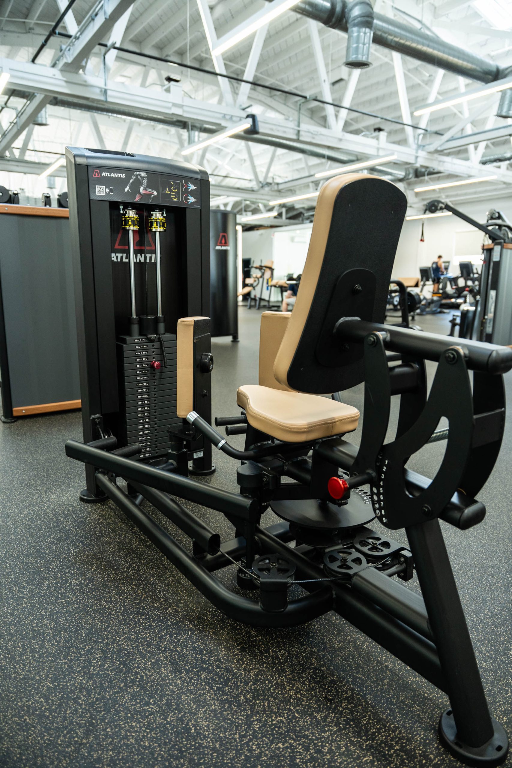 Gym Tonic, photo 4