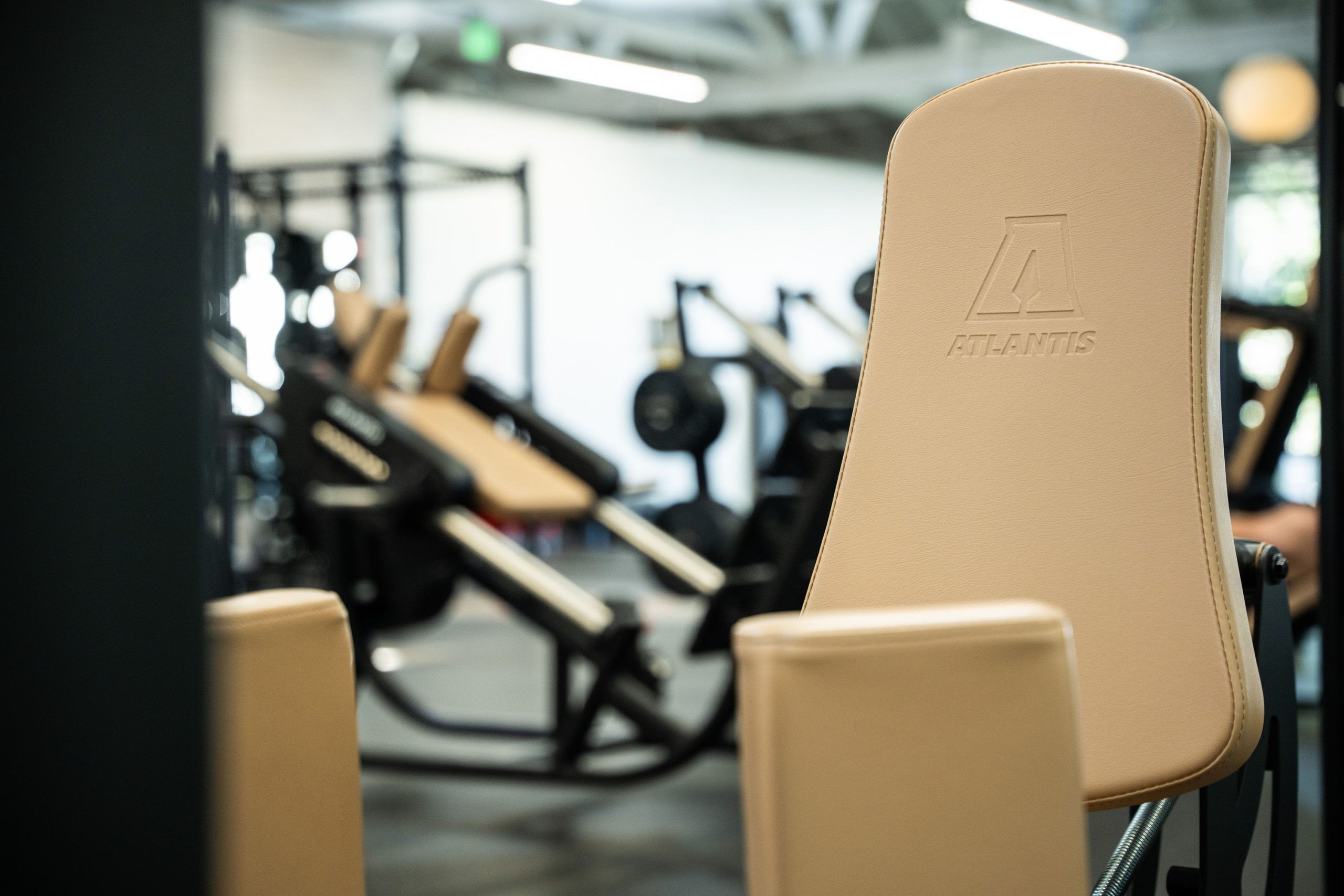 Gym Tonic, photo 7