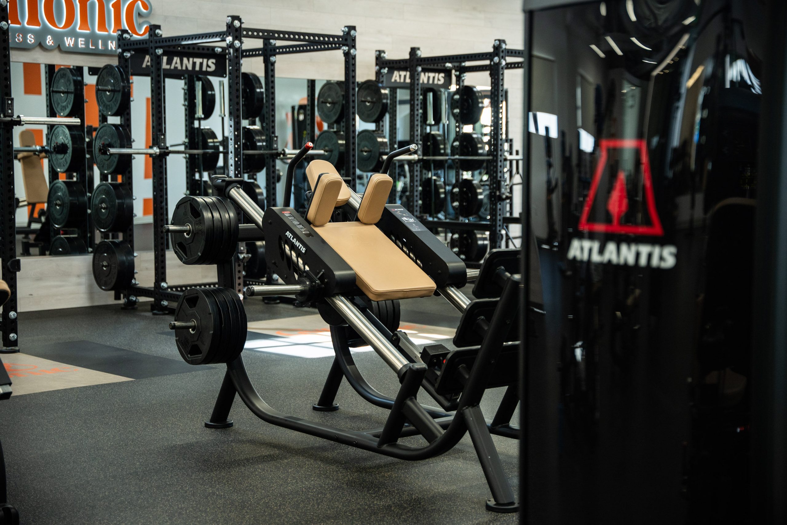 Gym Tonic, photo 6