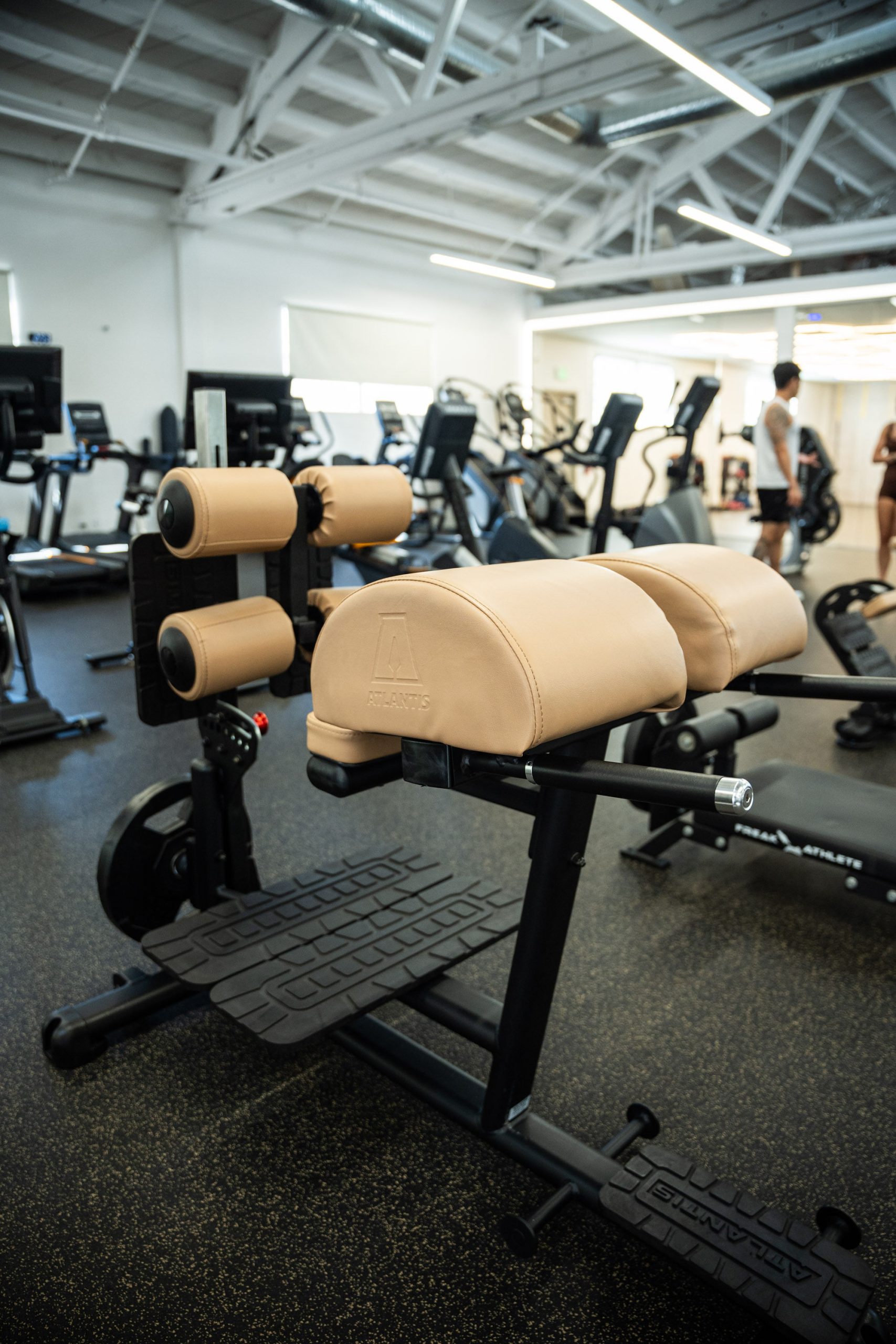 Gym Tonic, photo 11