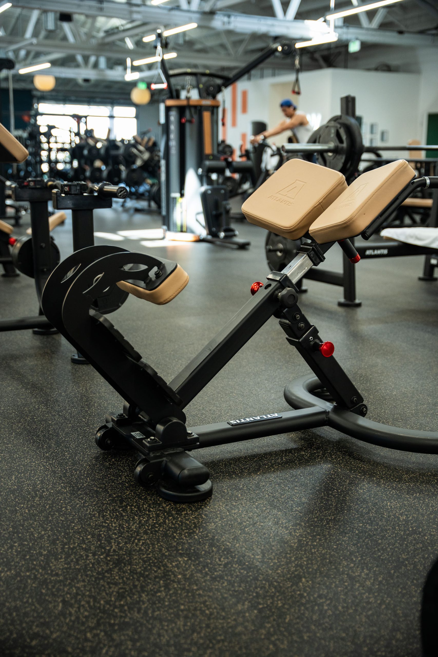 Gym Tonic, photo 8
