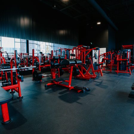 Atlantis machines at Big Daddy Fitness, Montréal, QC