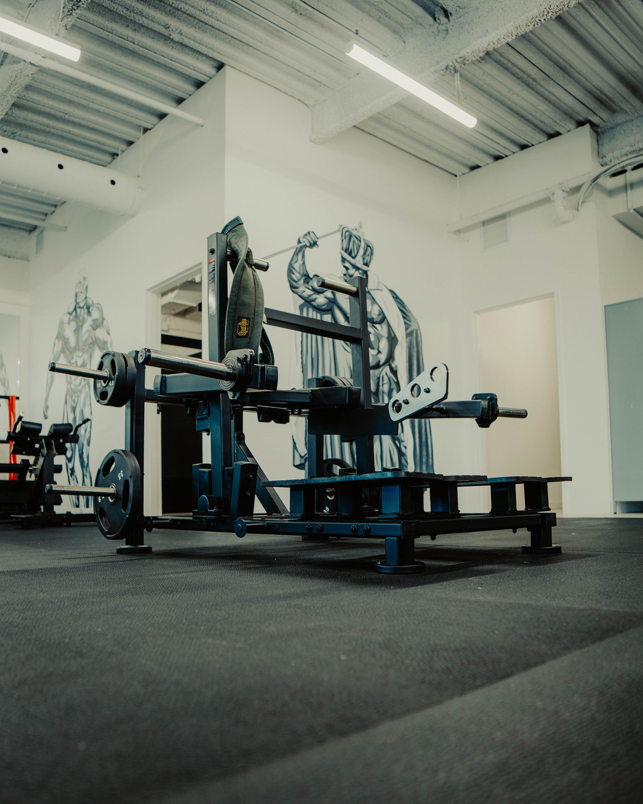 GGGym, photo 6