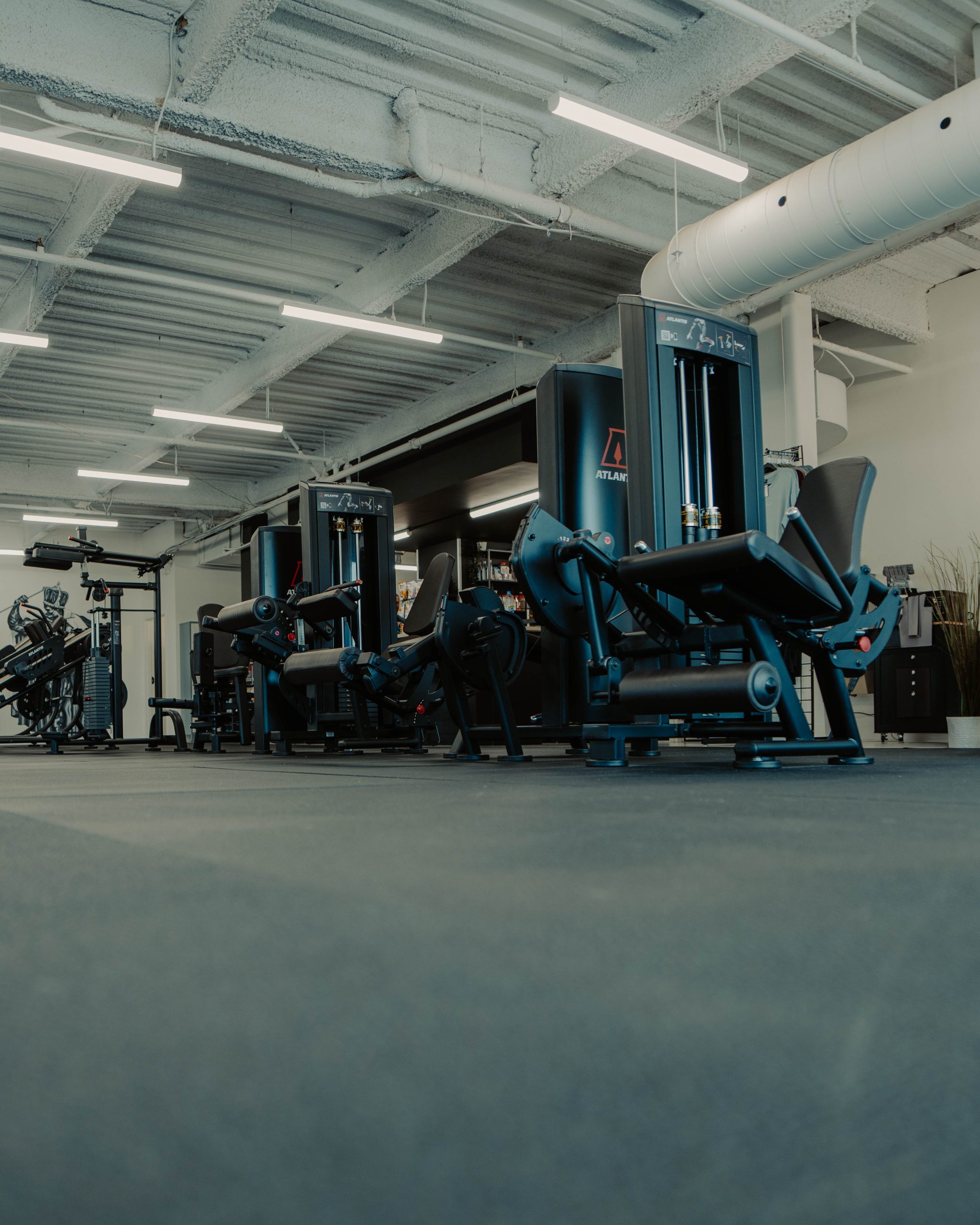 GGGym, photo 9