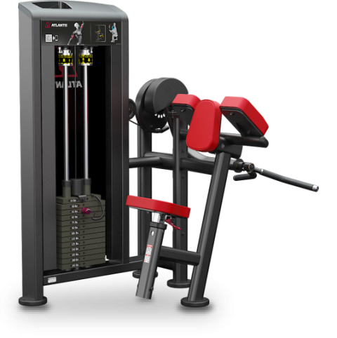 Biceps curl