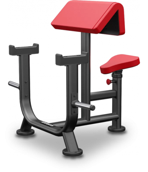 Seated preacher curl