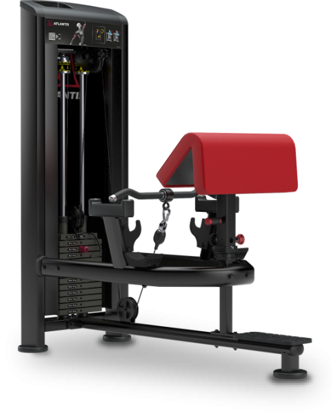 Standing Bicep Curl