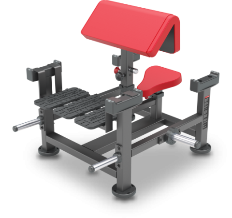 Poliquin seated preacher curl