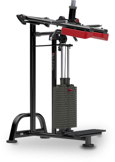 Standing calf Raise