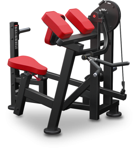 Preacher curl