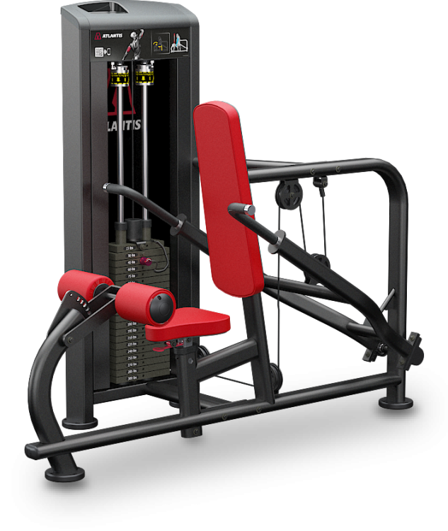 Triceps pushdown, view 1