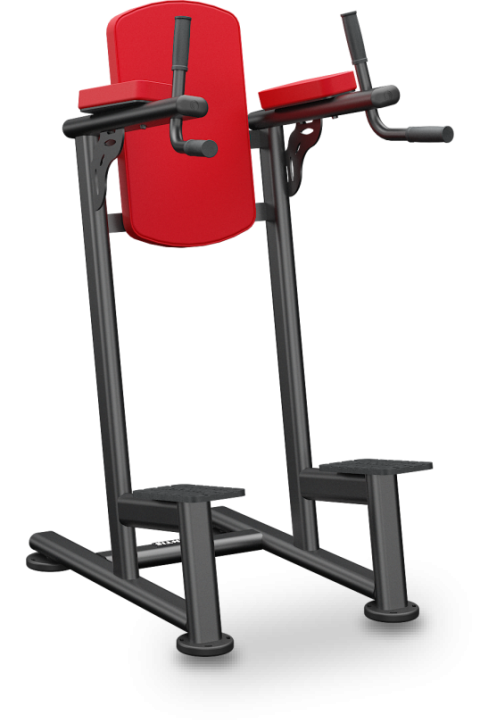 Standing leg raise