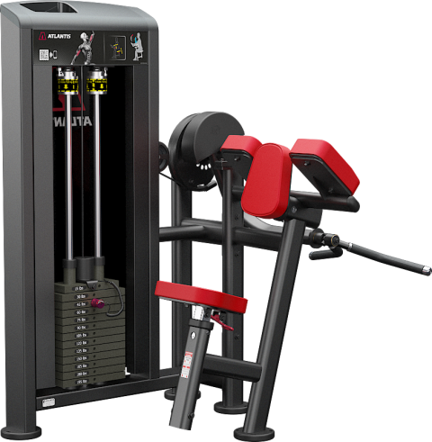 Biceps curl