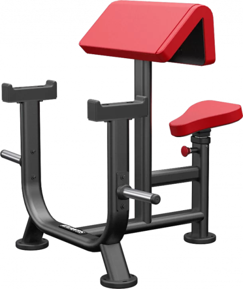 Seated preacher curl