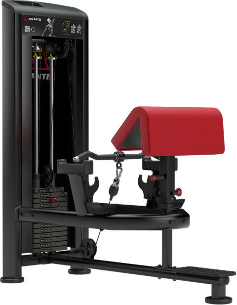 Standing Bicep Curl