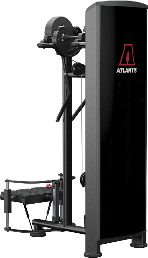 Standing lateral raise