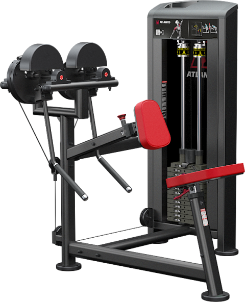 Seated side / Rear deltoid