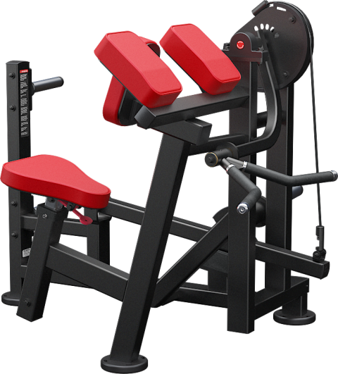 Preacher curl